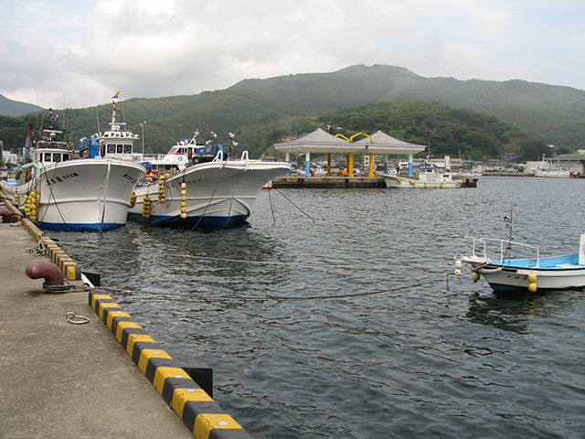 女川港