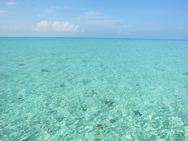 沖縄の海