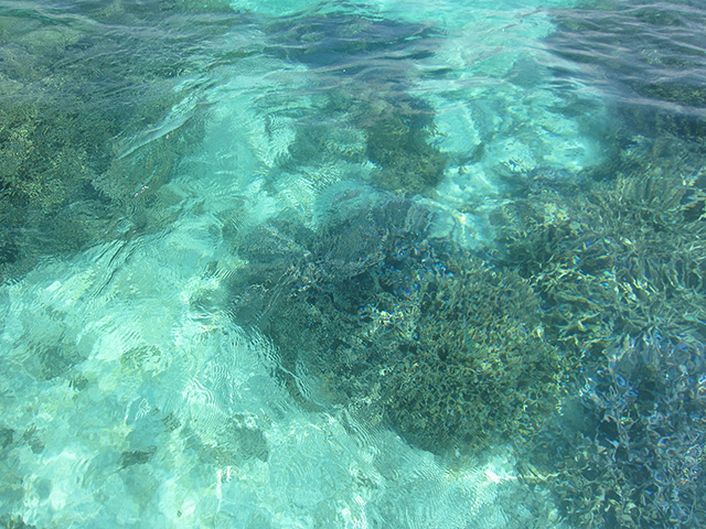 沖縄の海