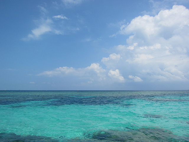 沖縄の海