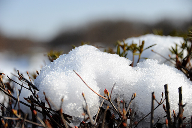 雪